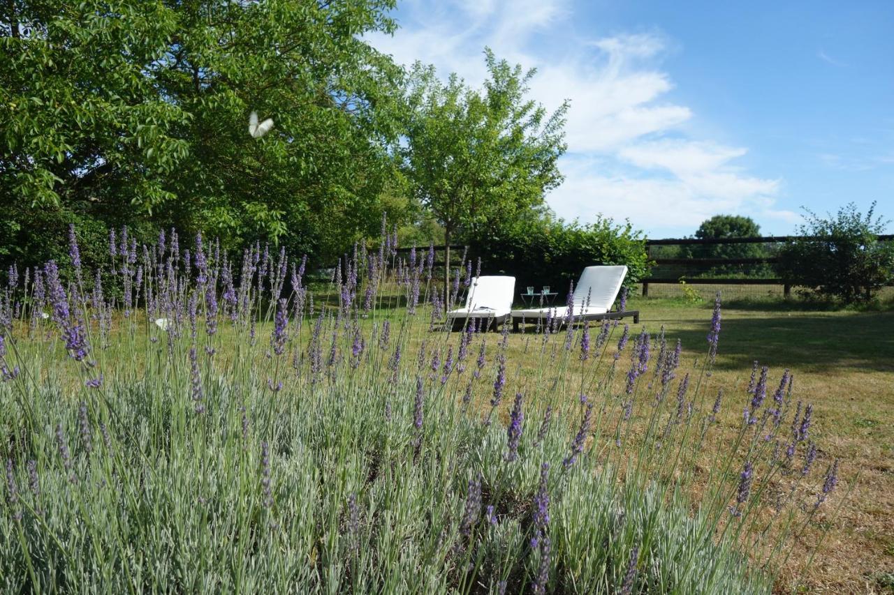 Le Cottage Du Coudray, Gite Avec Chalet Sauna La Fresnaie-Fayel Exterior foto